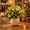 Pine*5, variant on Twinkling Enchanted Evergreen Pine Tree with Lights,Pack Lighted Artificial Pine Branches, Enchanted Evergreen Pine Decor for Christmas, Winter, Tabletop, Mantel and Vase,Pine*10