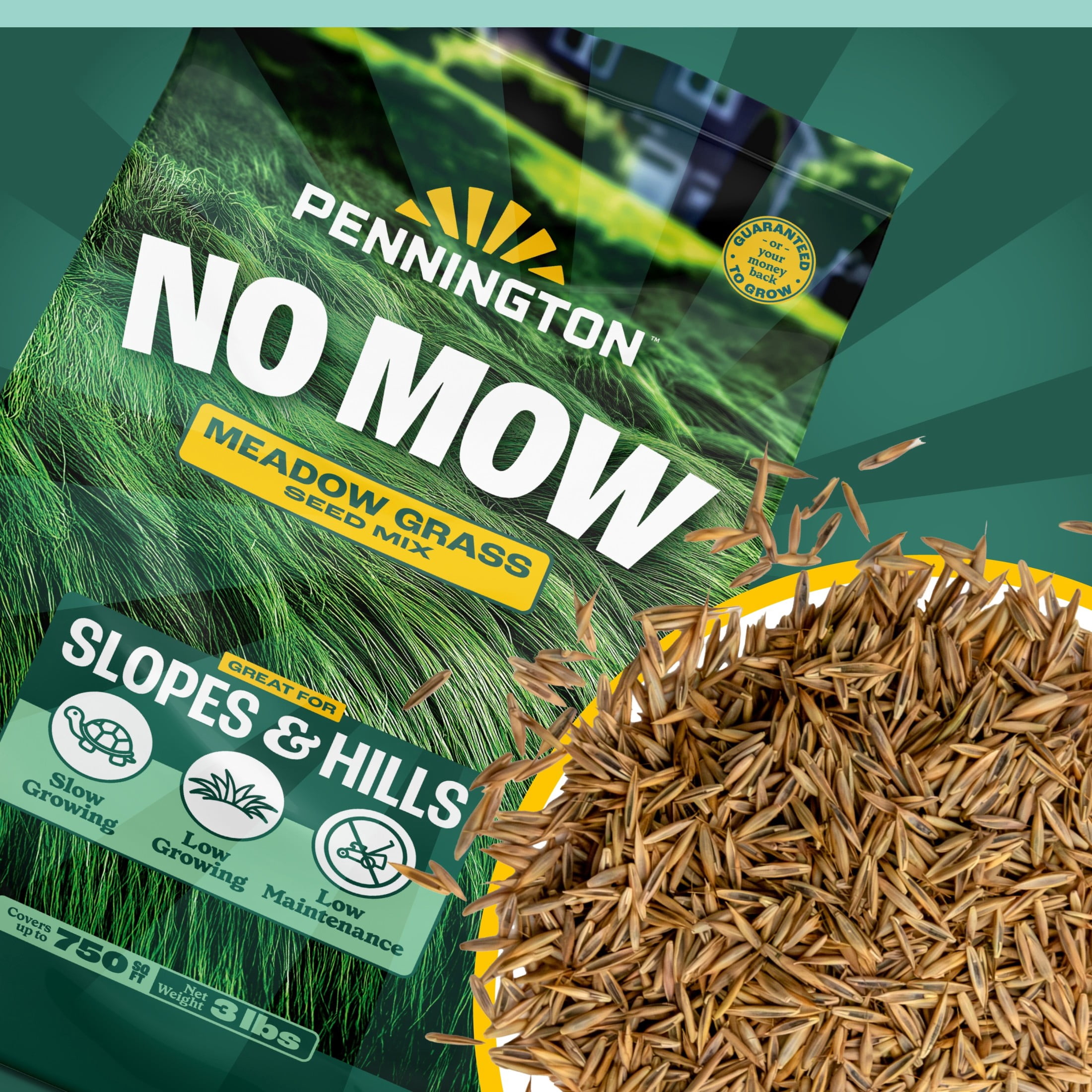 Pennington No Mow Grass Seed Mix 3lb for Low Maintenance Lawns