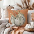 thumbnail image 2 of Fall White Pumpkin Throw Pillow Covers 18x18 Inch Set of 2 Floral Orange Outdoor Farmhouse Cottage Autumn Thanksgiving Decorations Decorative Throw Pillows Cases for Home Living Room Decor, 2 of 6