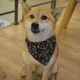 thumbnail image 4 of Bandanas Para Perros, Bufanda Para Mascotas, Pañuelo Para Ca, 4 of 8