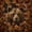Brown 04, variant on Manfei Black Bear Kitchen Curtains,Autumn Deer Pattern Black Out Curtains Pack of 2 (42x63 Each)
