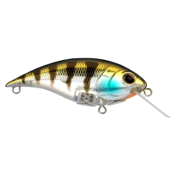Berkley Shallow Money Badger Fishing Crankbait, 2.75 in, Hybrid Baitfish-Crayfish