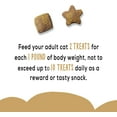 thumbnail image 5 of Purina Friskies Party Mix Cat Treats, Gravy-Licious Crunch, Chicken & Gravy Flavors, Dry Cat Treats, Helps Clean Teeth, 2.1-Ounce Resealable Pouch, (Pack of 6), 5 of 5