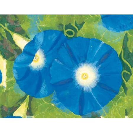 Painted Garden Keepsake Boxed Notecards