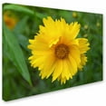 thumbnail image 2 of Trademark Fine Art "Purity" Canvas Art by Monica Fleet, 2 of 3
