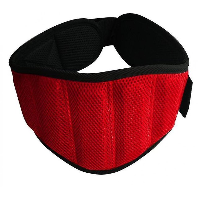 Cinturón recortador de cintura, envoltura para el sudor, espalda baja y soporte lumbar (rojo) LingWen 8390606076229