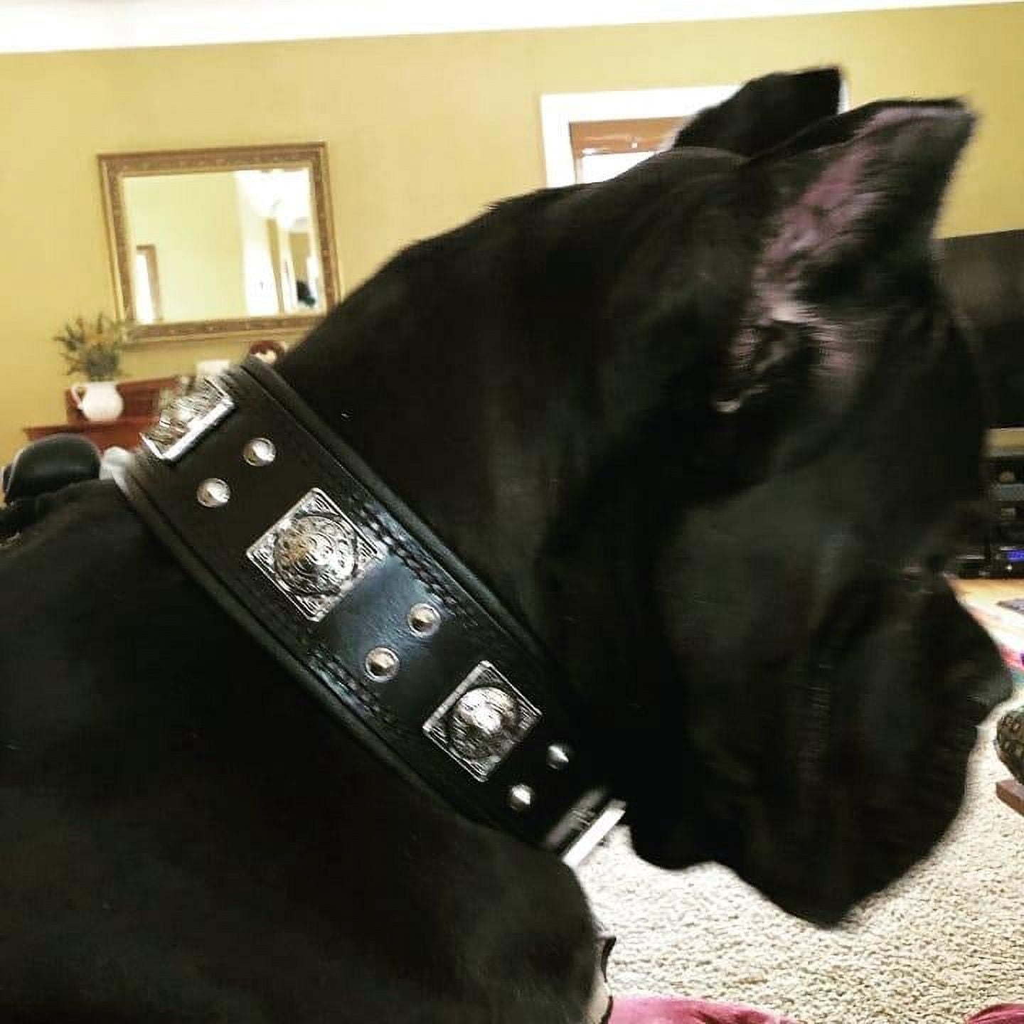 The Bestia "Eros" All Black Leather Dog Collar for Large Dog Breeds