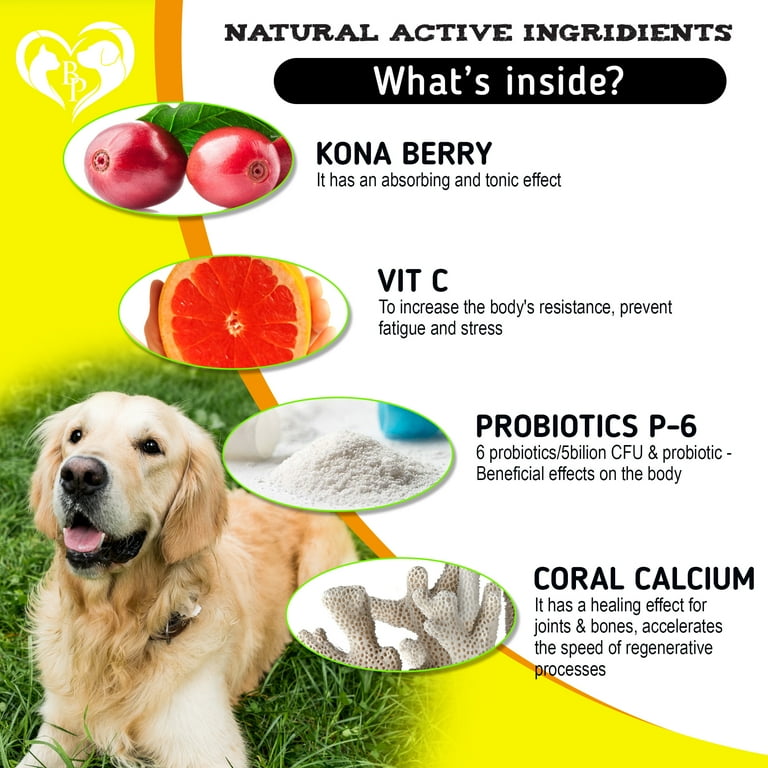 Natural remedies for shops dog itchy skin