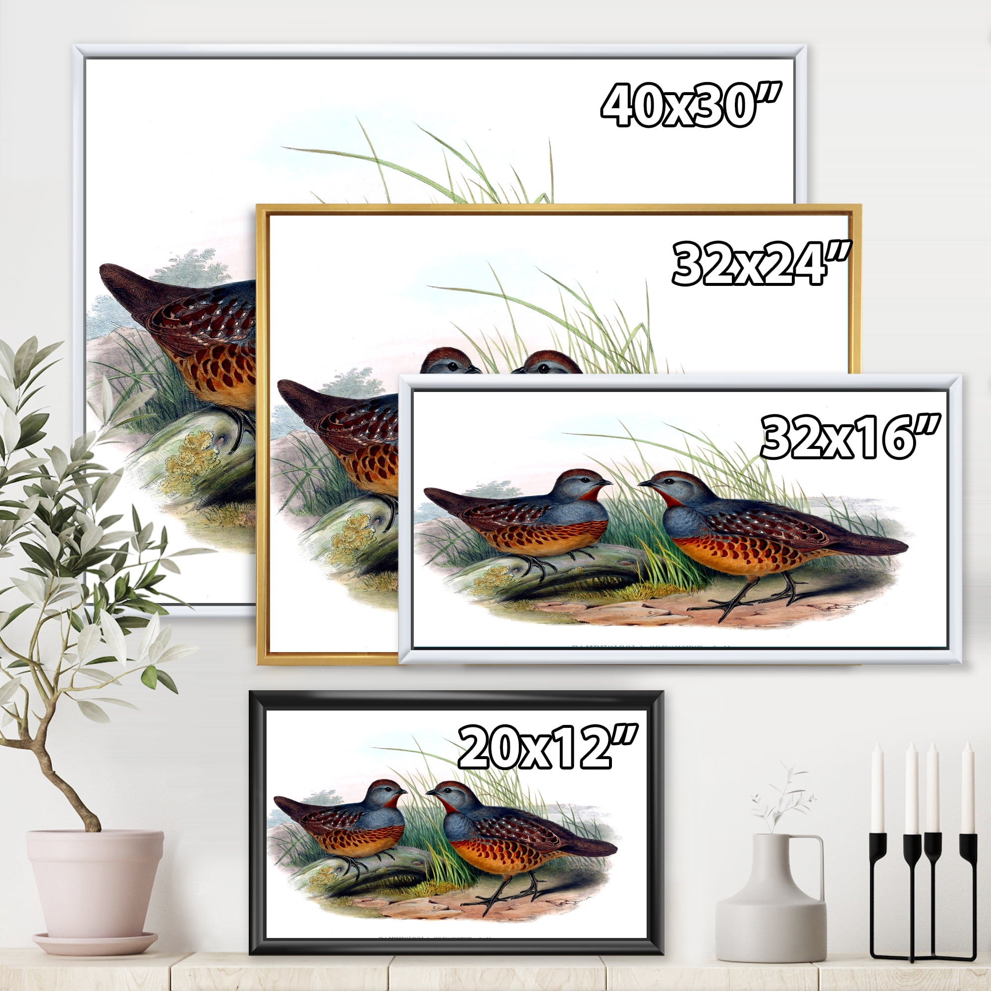 Designart 'Ancient Birds In The Wild VII' Traditional Framed Canvas Wall Art Print
