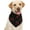 White50, variant on Will Your Marry My Dad Dog Bandana Scarf Triangle Bibs Pet Accessories Cat Kerchief White60 One Size