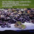 thumbnail image 4 of Décoration de Paysage de Poissons, Ornements en Résine Aquarium Accessoires pour Poisson Betta Cachette de Poissons Accessoires de Poisson Betta, 4 of 8