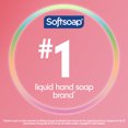 thumbnail image 4 of Softsoap Limited Edition Liquid Hand Soap, Cherry Blossom Scent, 50 fl oz Refill Bottle, 4 of 15