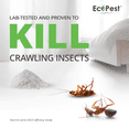 thumbnail image 3 of Insect & Pest Control Killer Dust, 1 lb. | Natural Pest Control Powder for Silverfish, Roaches, Ants, Ticks, and Fleas | Home Pest Powder for Indoor and Outdoor Perimeter | Low Odor and Non-Staining, 3 of 8