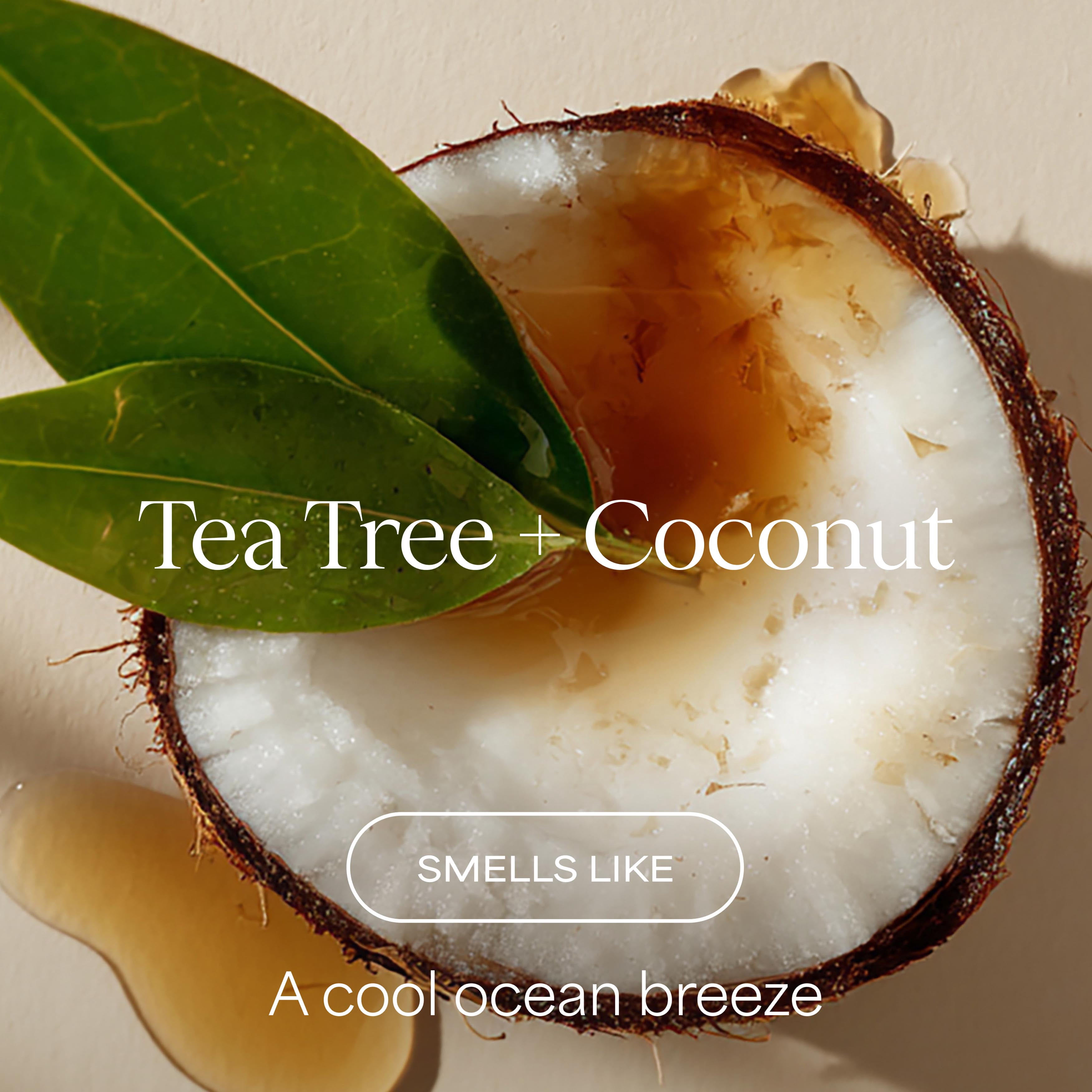 Raw Sugar The Strength Builder 2-in-1 Shampoo & Conditioner, Tea Tree + Coconut, 16 fl oz