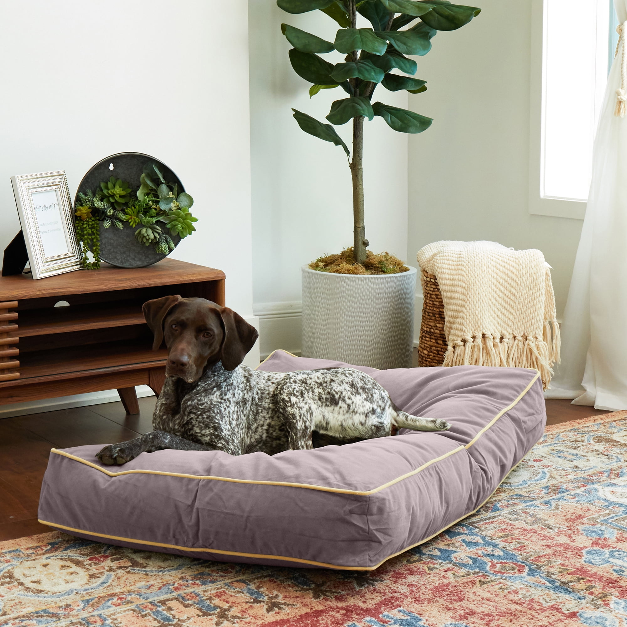 Happy Hounds Buster Rectangle Pillow Style Dog Bed, Smoke, Medium (42 x 30 in.)