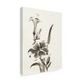 thumbnail image 2 of Trademark Fine Art 'Sumi Daylily III' Canvas Art by Chris Paschke, 2 of 3