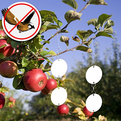 Sunrise Bird Repellent Discs Sets Keeps All Birds Away, Hanging