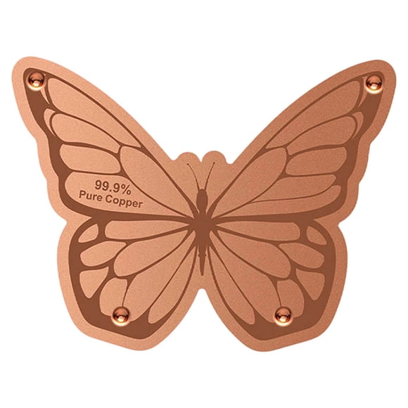 MKHSQHDG Todays Deals Clearance Sale Bird Bath Plate Decorative Purification Plate with Support Points Natural All Weather Water Suitable for Outdoor Bird Bath Tubs and Bowls Multiple Choices