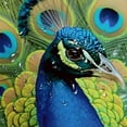 thumbnail image 5 of BCIIG Peacock Feathers Bathroom Decor Set with Hooks, Colorful Luxurious Graphic Print Polyester Fabric Shower Curtain Set, Chic Modern Design 36x72, 5 of 7