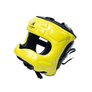Face Saver Headgear