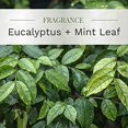 thumbnail image 2 of Candle Lite 251060 9 oz Eucalyptus & Mint Leaf Jar Candle with Gray Wood Lid, 2 of 7