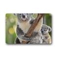 thumbnail image 1 of RYLABLUE Tapis de Sol Intérieur Extérieur 23,6x15,7 Pouces, 1 of 2