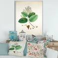 thumbnail image 2 of Ancient Botanicals III 30 in x 40 in Framed Painting Canvas Art Print, by Designart, 2 of 5
