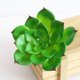 thumbnail image 3 of unbranded Planta Falsa Verde De PVC Para De Escritorio Estantería O, 3 of 7