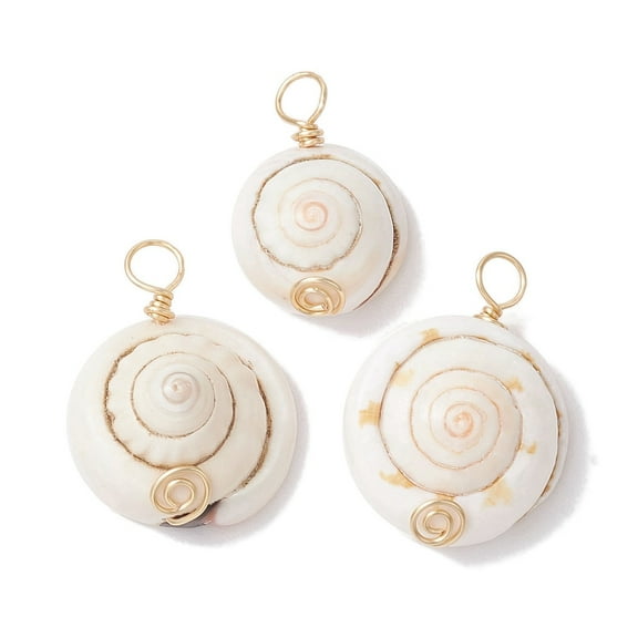 50 pc Natural Shiva Eye Shell Copper Wire Wrapped Pendants Shell Shape Charms Light golden 22~26x15~21x8~13mm Hole: 3.5mm