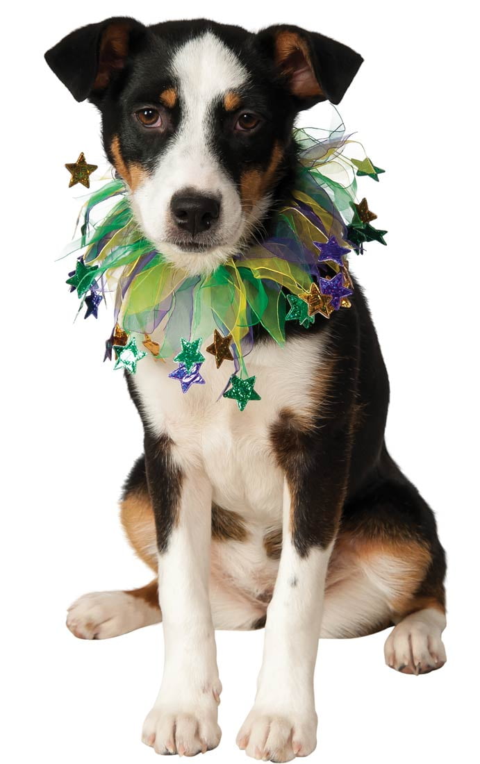 mardi gras outfits for dogs