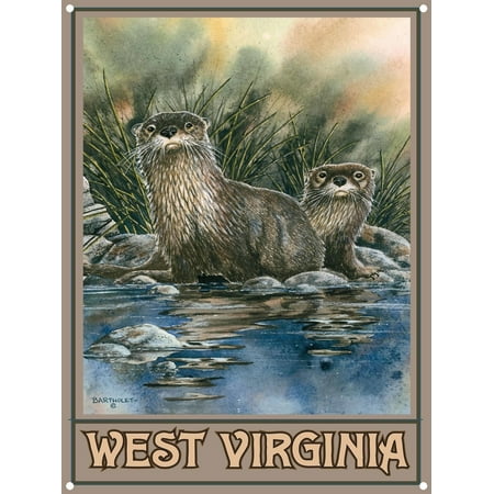 West Virginia Otters Metal Art Print by Dave Bartholet (9