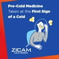 Zicam Cold Remedy Zinc Medicated Fruit Drops, Assorted Flavors