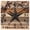 Khaki, variant on Burnt Orange Texas Star Wooden Wall Clock Silent Non Ticking, Retro Country Star Farmhouse Wooden Square Wall Clocks Battery Operated, Decor Clock for Home Office, Living Room, Kitchen, 10 Inch