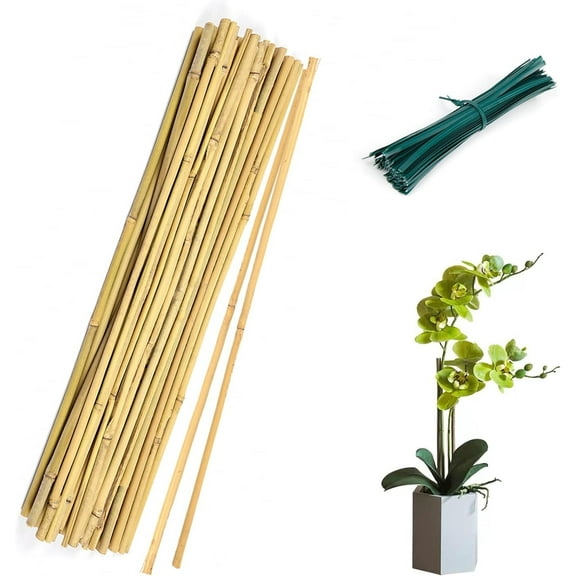 Cambaverd 40 Pack Plant Stakes,  16 inch Natural Bamboo Sticks for Plants, Garden Stakes for Plant Support
