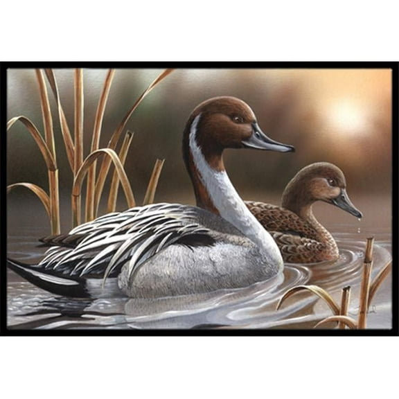 Pintails Indoor & Outdoor Mat- - 18 x 27 in.