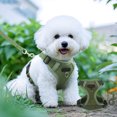 thumbnail image 1 of DPTALR Laisse Sans Manches pour Chiens et Chats Style Réfléchissant Respirant Laisse Adaptée pour Promenade en Extérieur pour Chats et Chiens, 1 of 6