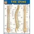 thumbnail image 2 of The Spine (Other), 2 of 2