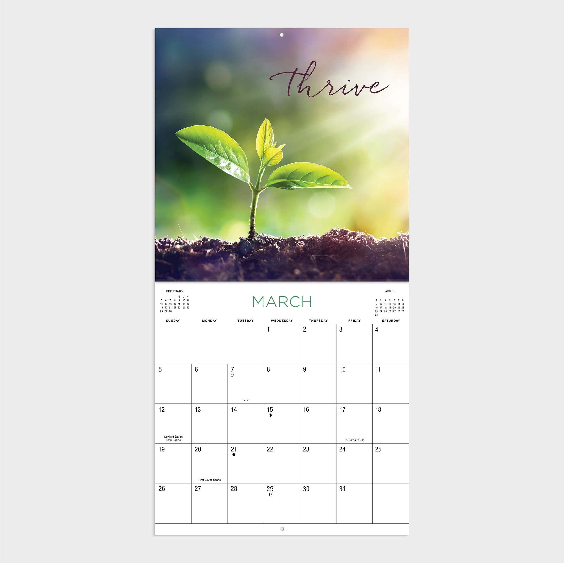2023-12 Month Calendar-Tranquility 12x12 Hanging Wall Calendar by DaySpring