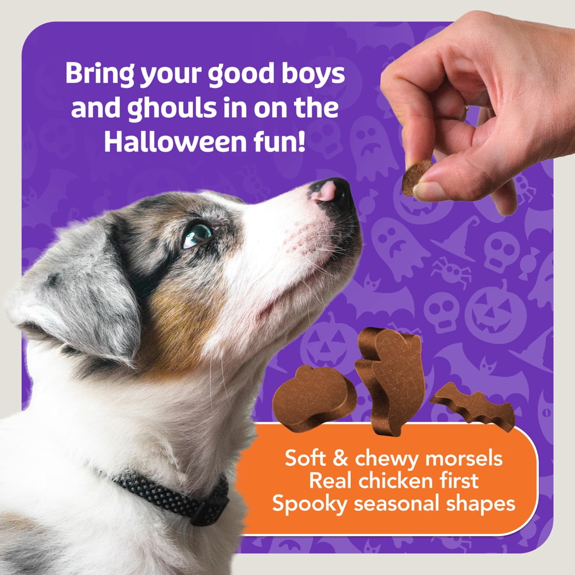 (2 pack) Blue Buffalo Boo Bits Soft & Chewy Halloween Dog Treats, Tasty Chicken Recipe, 4.5-oz Bag
