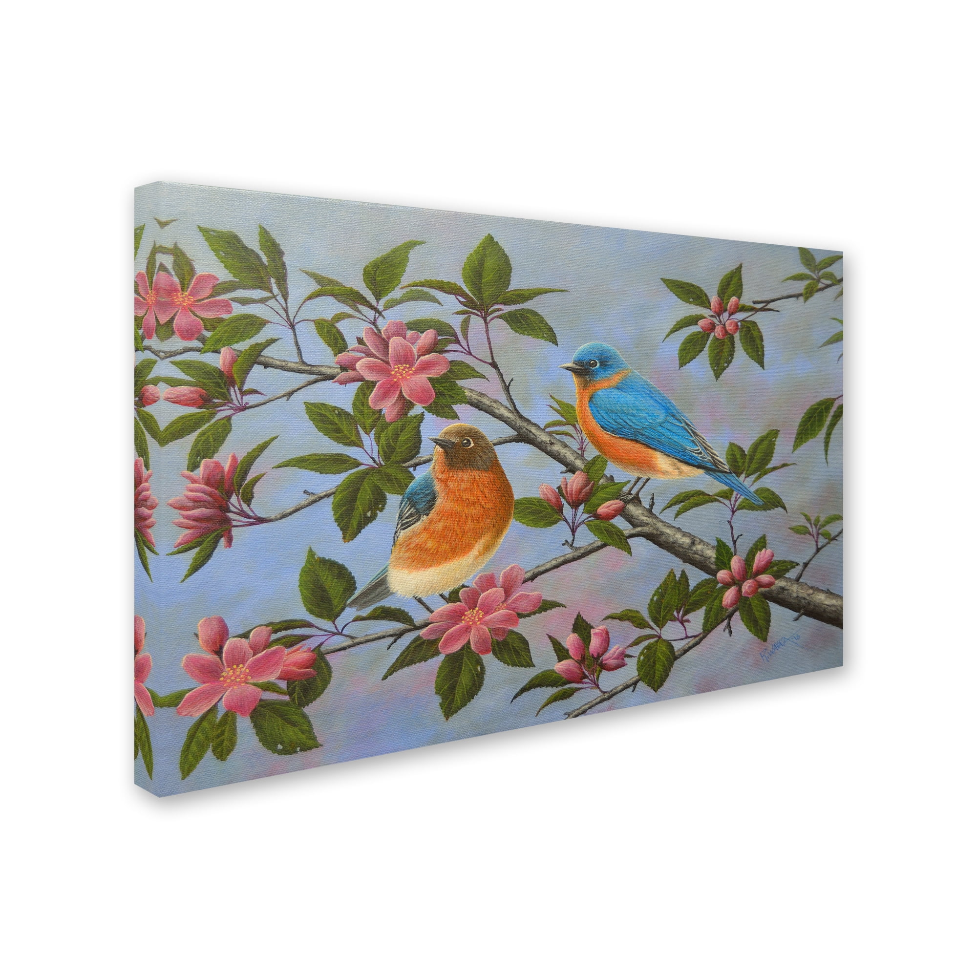 Trademark Fine Art 'Bluebirds' Canvas Art by Robert Wavra