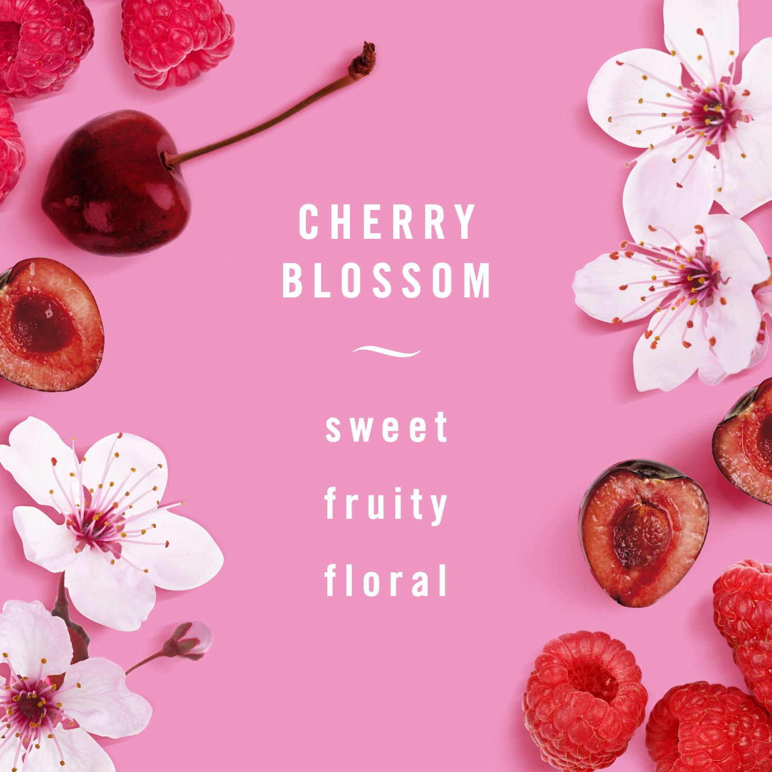 Febreze AUTO Air Freshener, Odor-Fighting Automotive Vent Clip, Cherry Blossom Scent, 2.1 Count