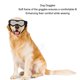thumbnail image 3 of Gafas Para Perros, Montura Flexible, Protección Ocular UV, Gafas De Sol Para Mascotas, Resistentes Al Viento, A Prueba De Polvo, Gafas Para Perros Con Correas Ajustables Para, 3 of 7