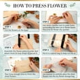 thumbnail image 5 of Flower Press Kit, Large Wooden Flower Pressing Kit for Adults Kids, 6 Layers 6.3 x 8.3 Inch Flower Press Leaf Pressing Kit to Making Dried Plants, DIY Flower Preservation Kit Crafts, 5 of 9