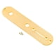 thumbnail image 1 of Placa Control Piezas Guitarra Metal Plateado para Eléctrica, 1 of 9