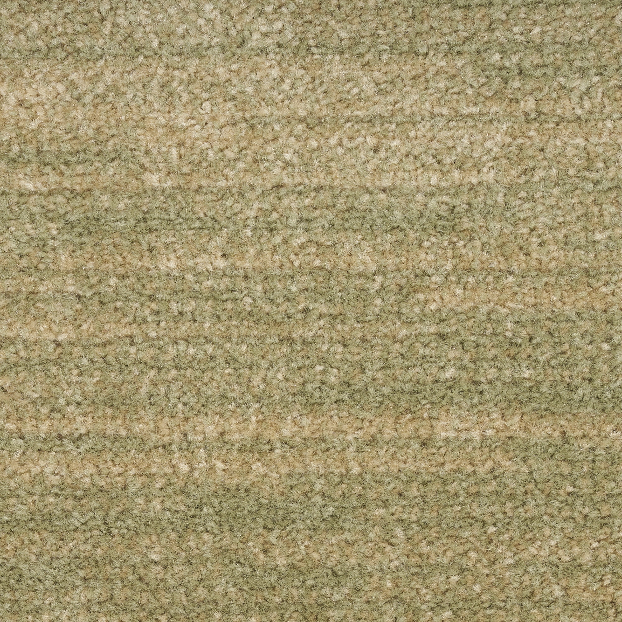 Nourison Essentials Indoor/Outdoor Green Gold 3' x 5' Area Rug (3x5)