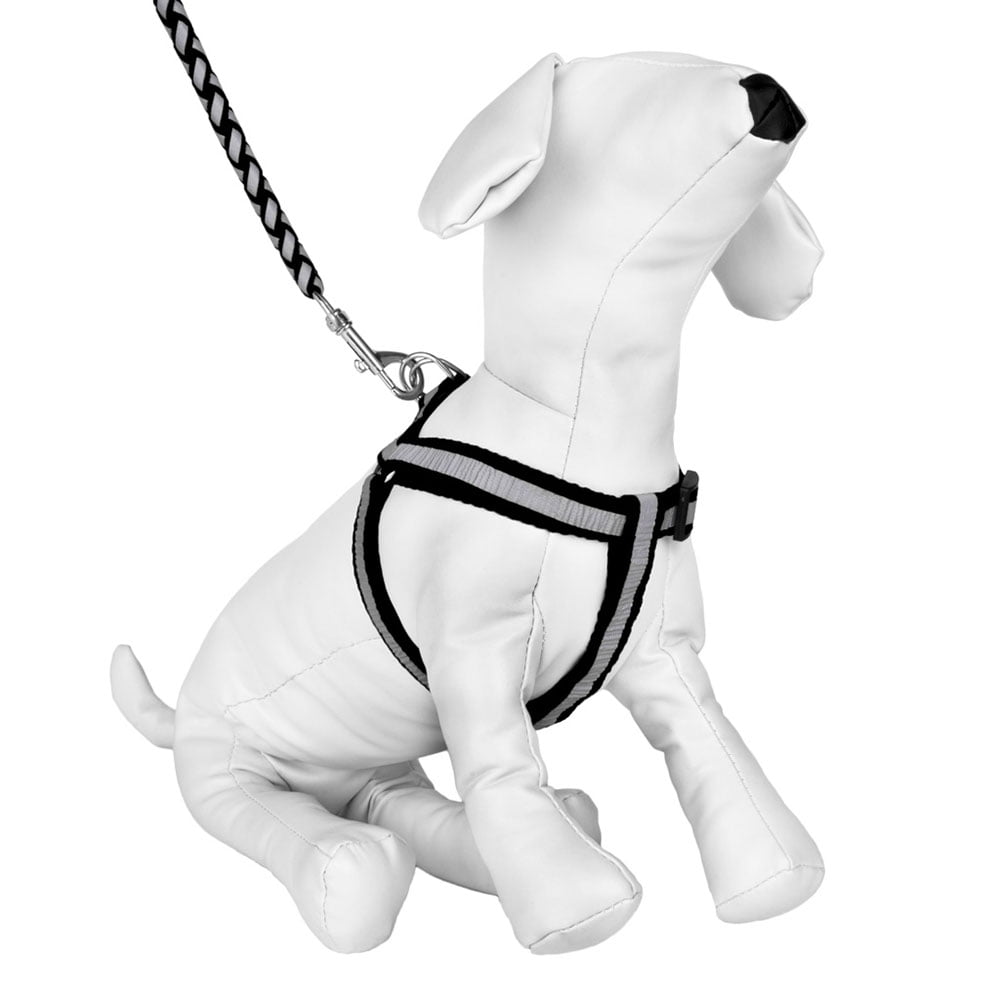 reflective dog harness and leash