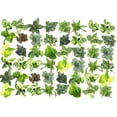 thumbnail image 1 of Plantas de interior fáciles de cultivar (paquete de 48) Plantas de interior vivas en contenedores de plantas, juego de plantas a elección de los productores en maceteros con mezcla de tierra para mace, 1 of 5