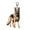 B, variant on Acrylic Keychain 2D Dog Shape Fine Craftsmanship Keyring Decorative Backpack Handbag Phone Car Pendant