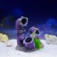 thumbnail image 4 of Aquariums Landscape Water Pipe Resins Aquariums Decorations Art Crafts Terrarium Habitat Ornaments Photo Props, 4 of 5