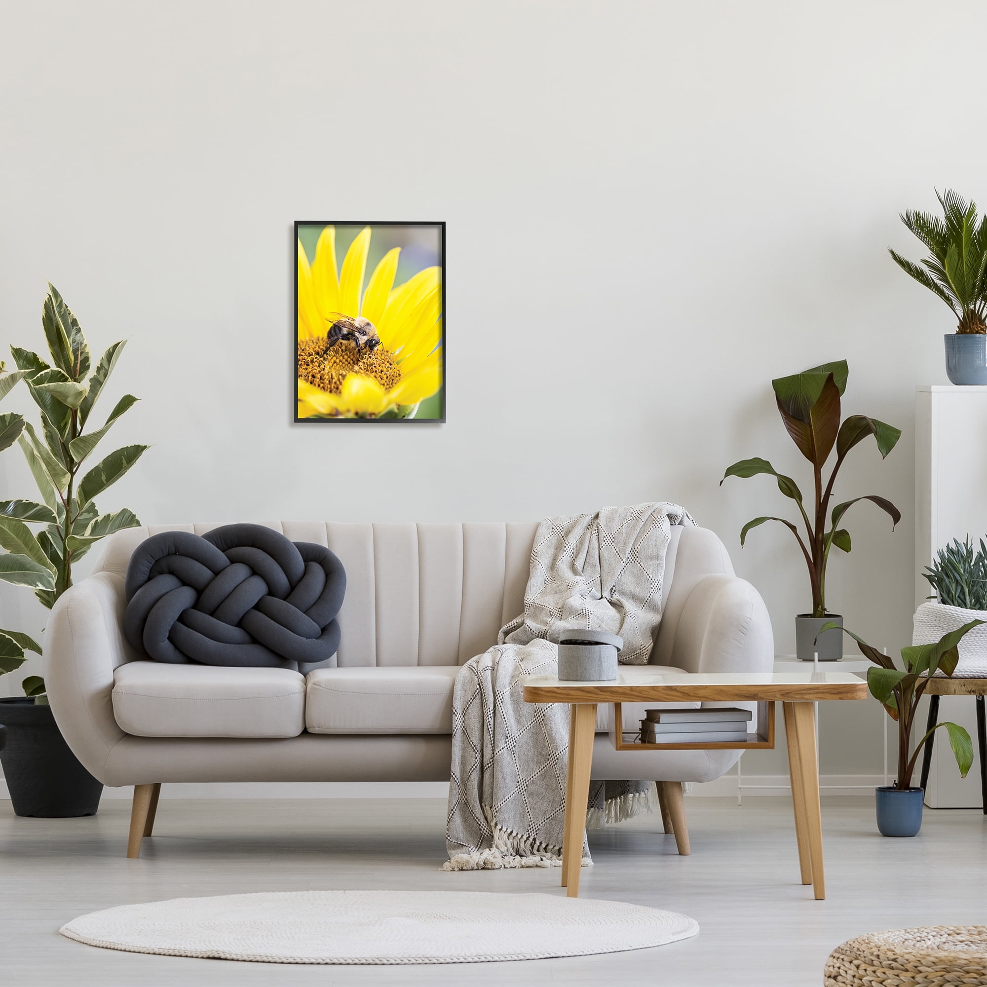 Stupell Industries Bee & Sunflower Photography Animals & Insects Photography Black Framed Art Print Wall Art, 16 x 20